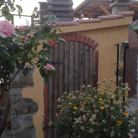 別荘 Casa Elisa ビッビエーナ